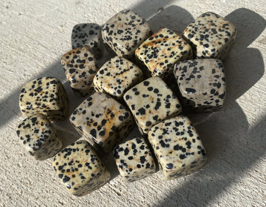 Dalmatian Jasper