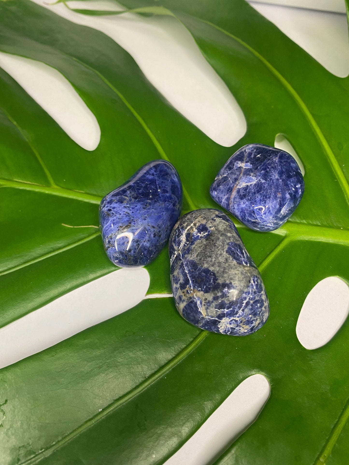 Sodalite