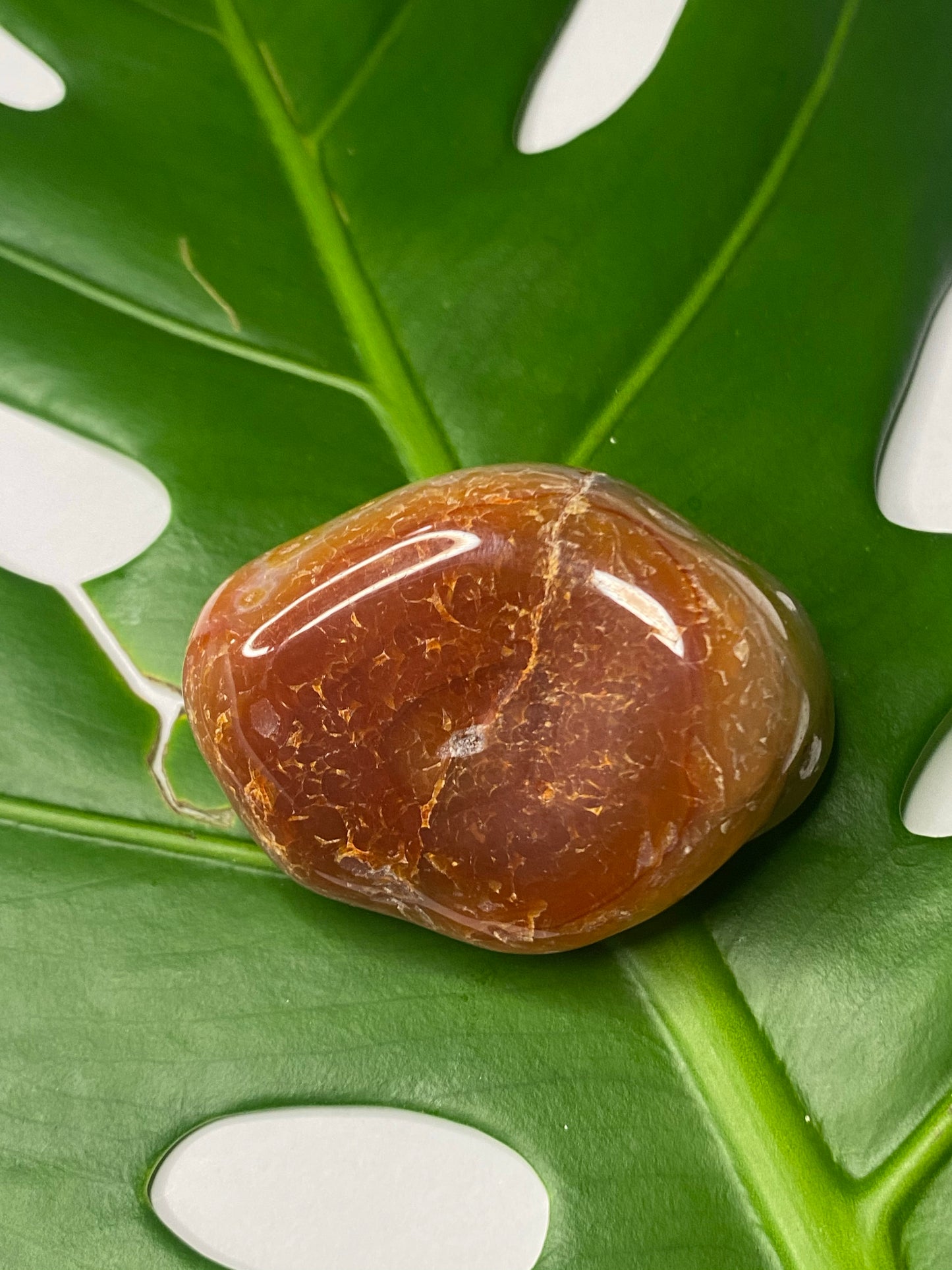 Carnelian Palm Stone