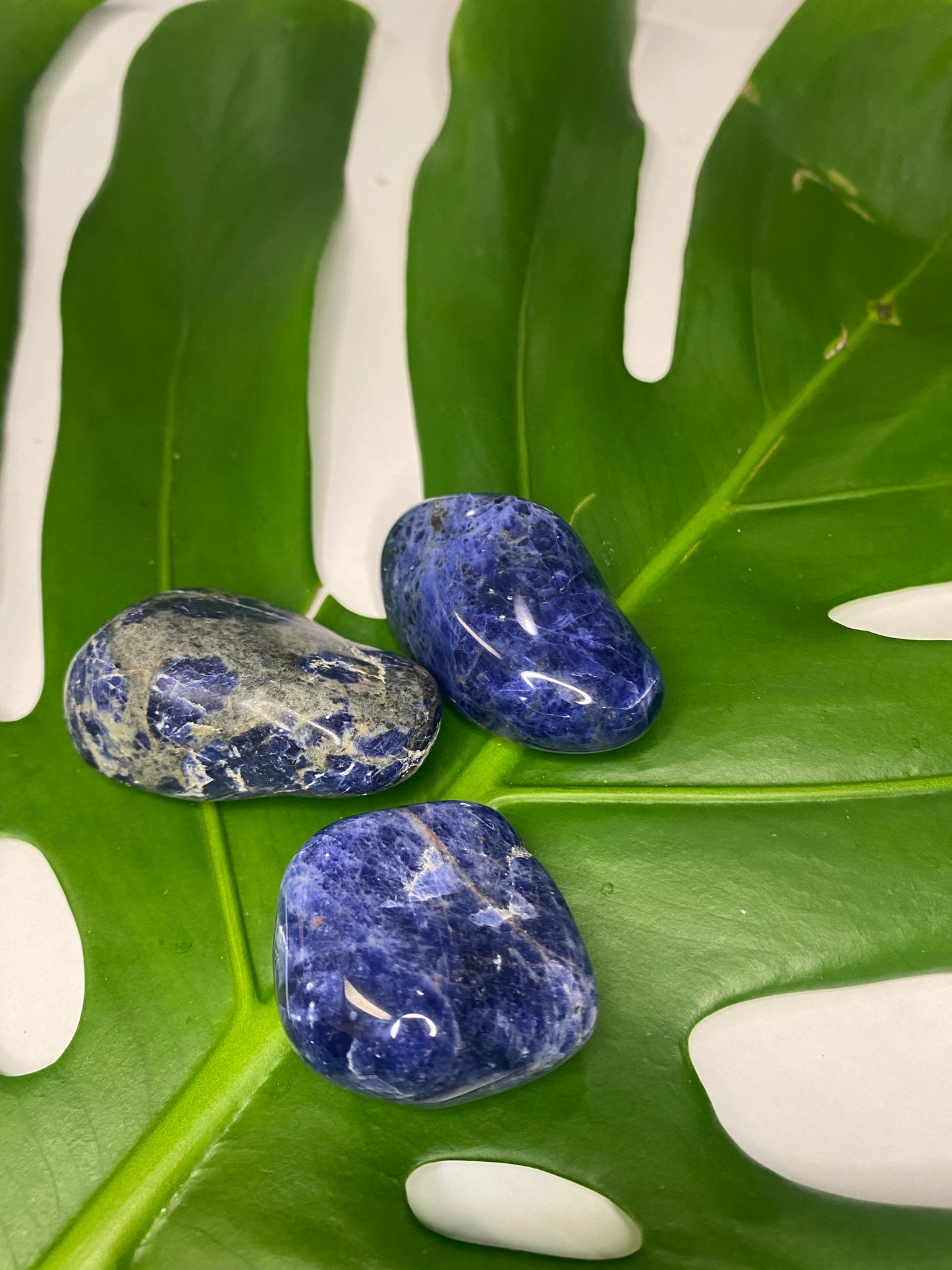 Sodalite