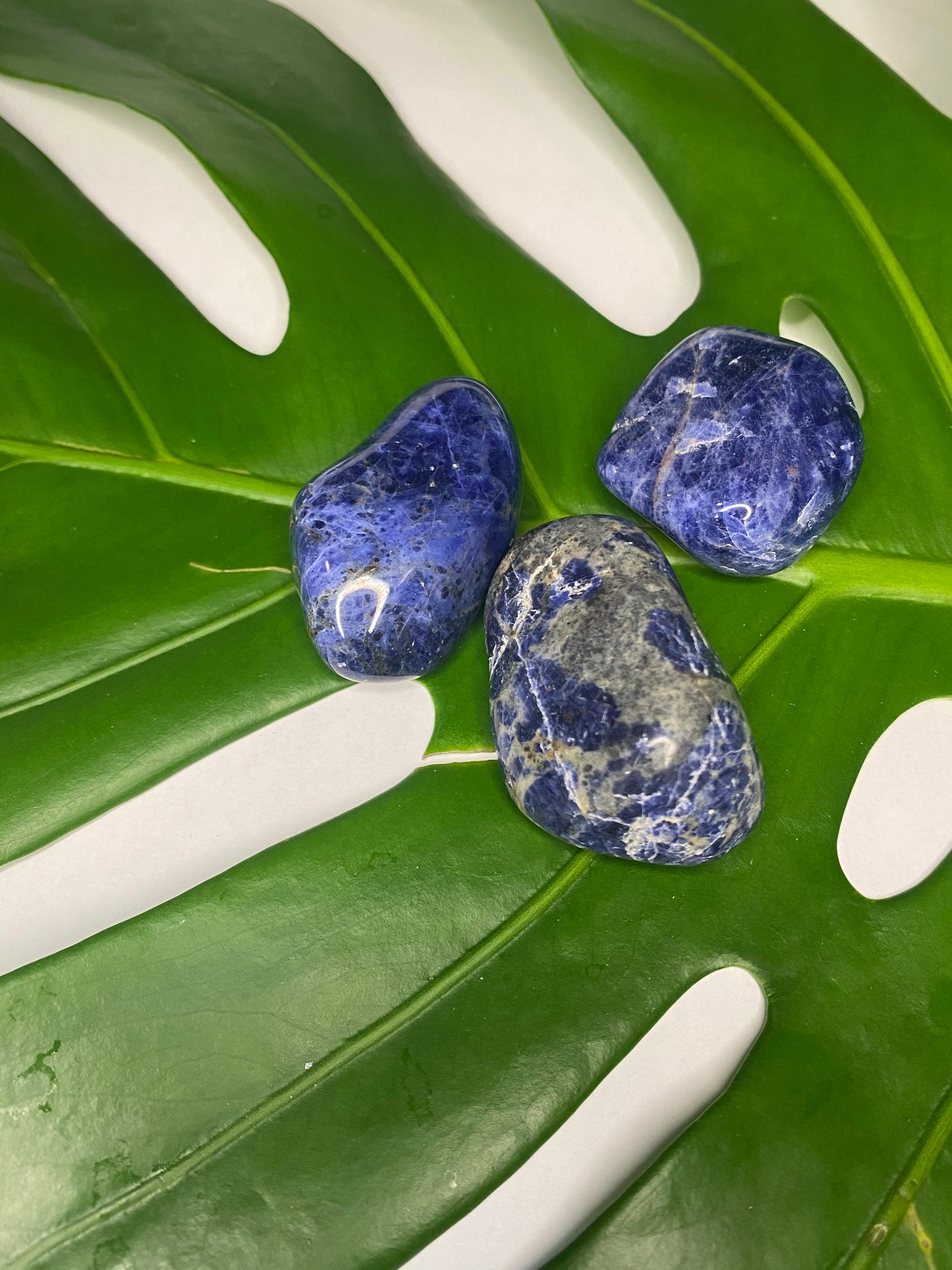 Sodalite